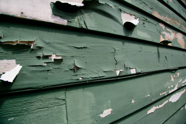 Best Wood Siding Installation  in Paramus, NJ