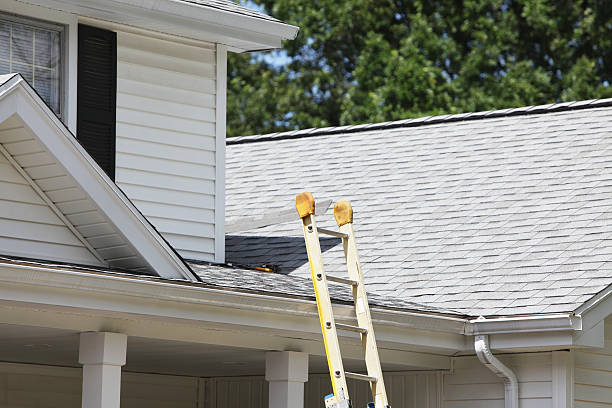 Best Engineered Wood Siding  in Paramus, NJ