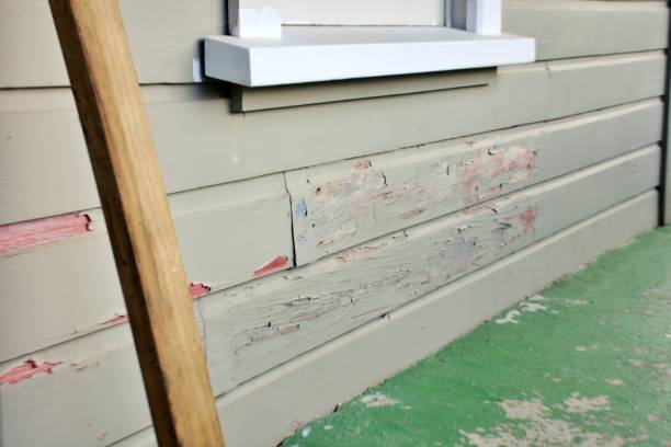 Best Steel Siding Installation  in Paramus, NJ